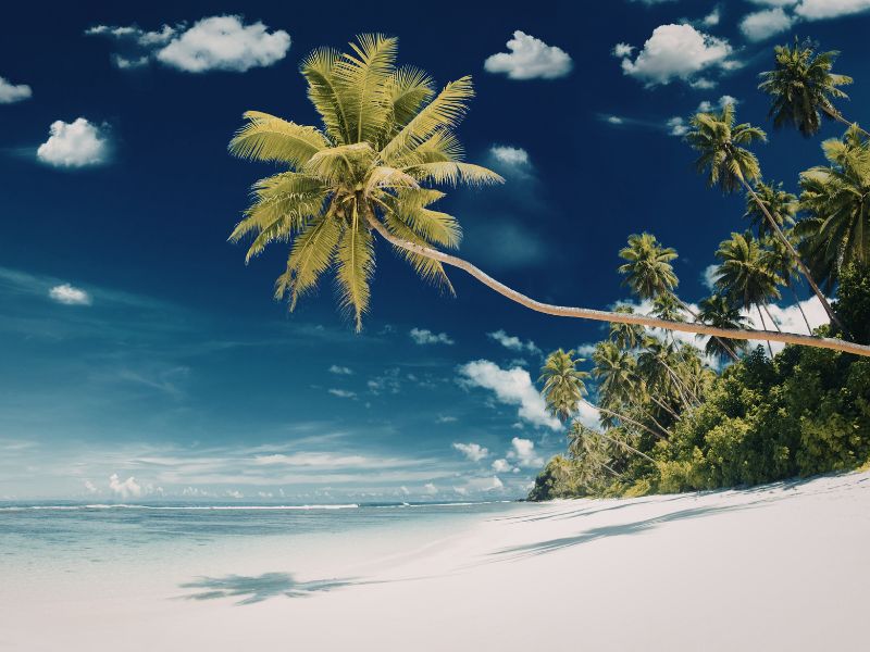 Australia & Bali Tropical Escape