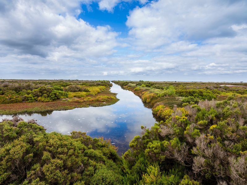 Australia East Coast Explorer