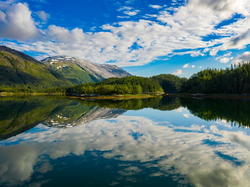 Norwegian Fjords & Northern Lights